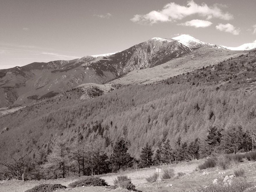 Batère à Corsavy Pyrénées Orientales