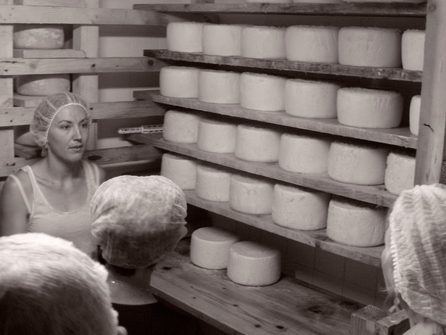 Visite de la fromagerie